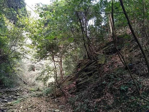 权力与纷争